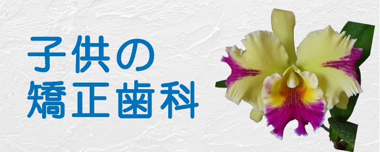 子供の矯正歯科
