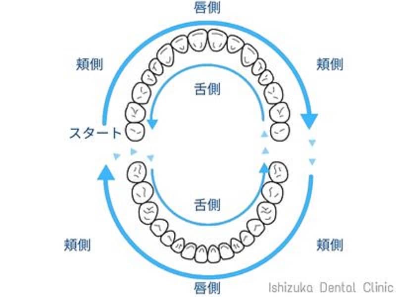歯磨きの方法を徹底解説【虫歯予防デーに向けて】 | 石塚歯科医院