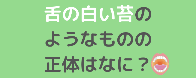 コラム260606