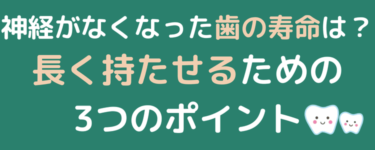 コラム260801
